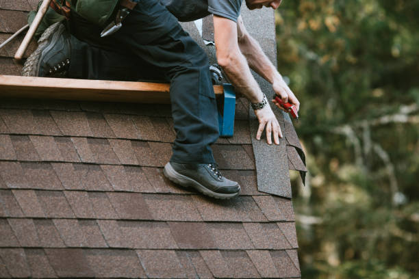 Roof Gutter Cleaning in Bothell East, WA